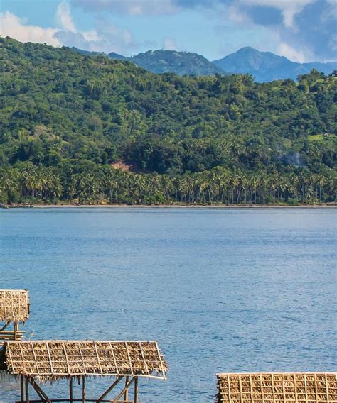 cheap flights to iloilo|P1,085 .